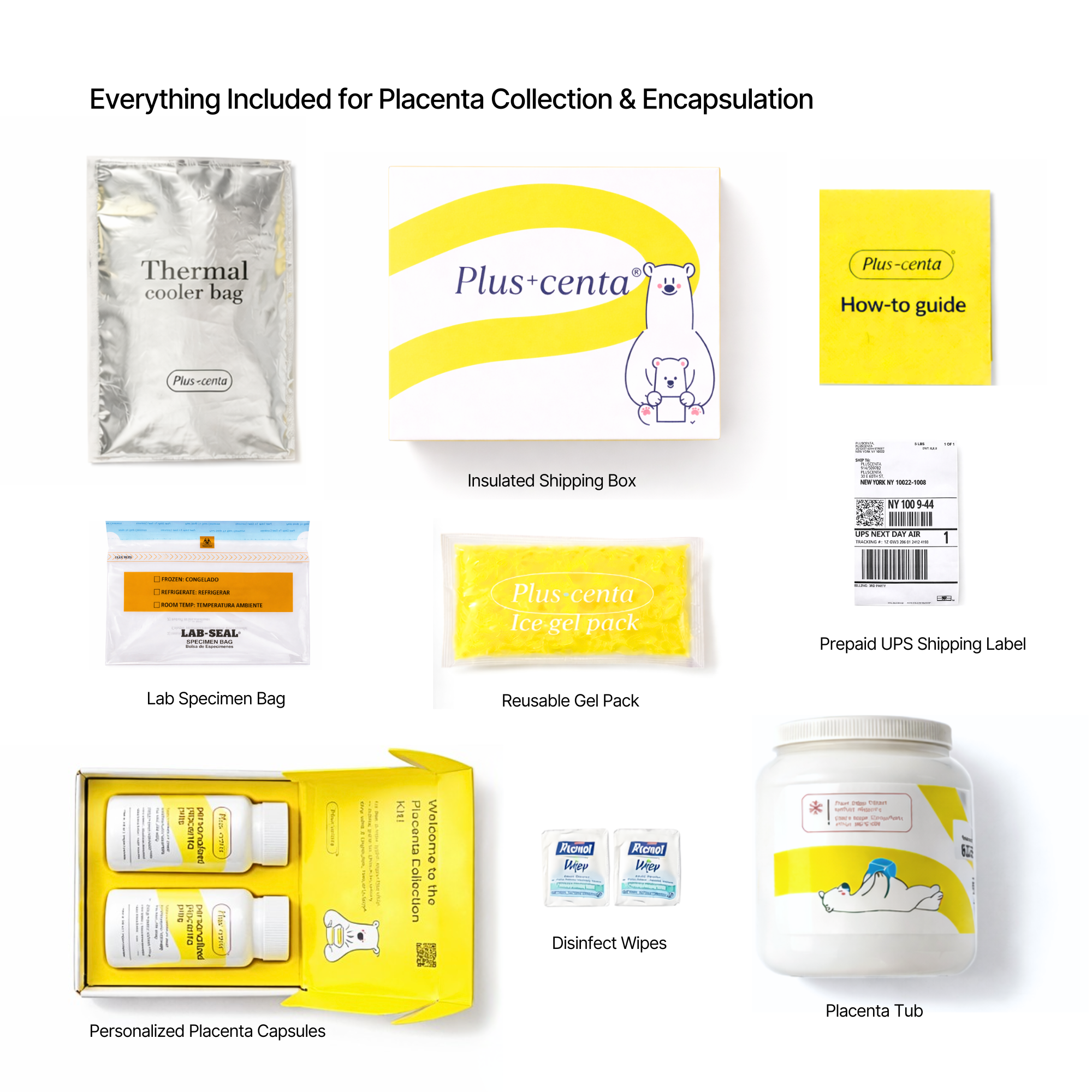 TIPISM 01 SUPPLEMENT PLACENTA CAPSULE　１箱 Lab-based Placenta Encapsulation Kit | Pluscenta