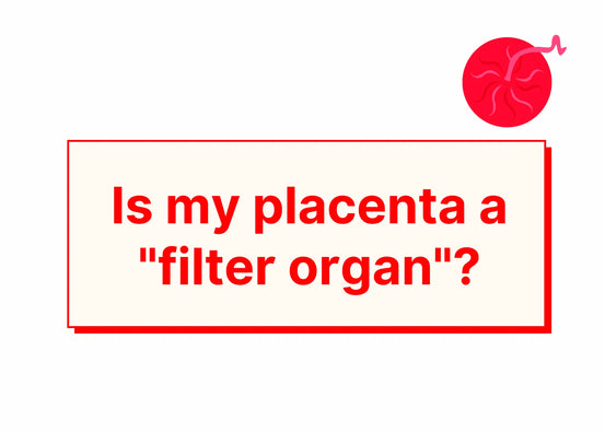 Uncovering the Truth About Bacteria and Heavy Metals in the Placenta