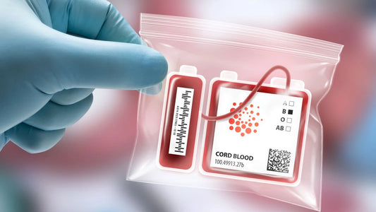 Cord Blood Banking and Placenta Encapsulation Going Mainstream