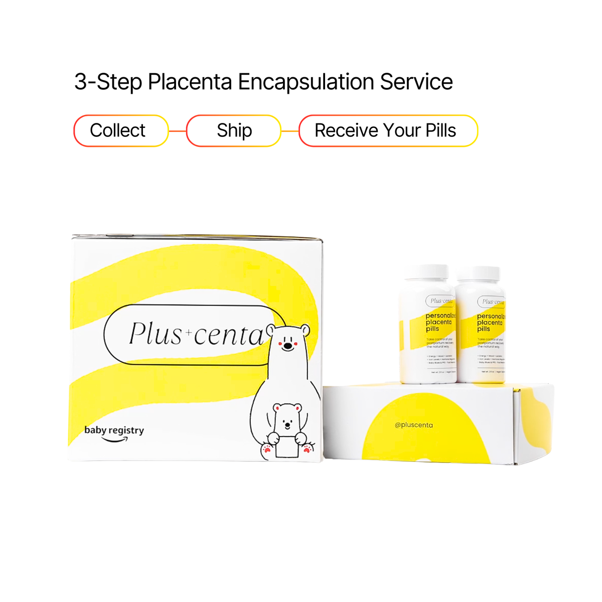 Placenta Encapsulation Kit with Lab-Based Processing