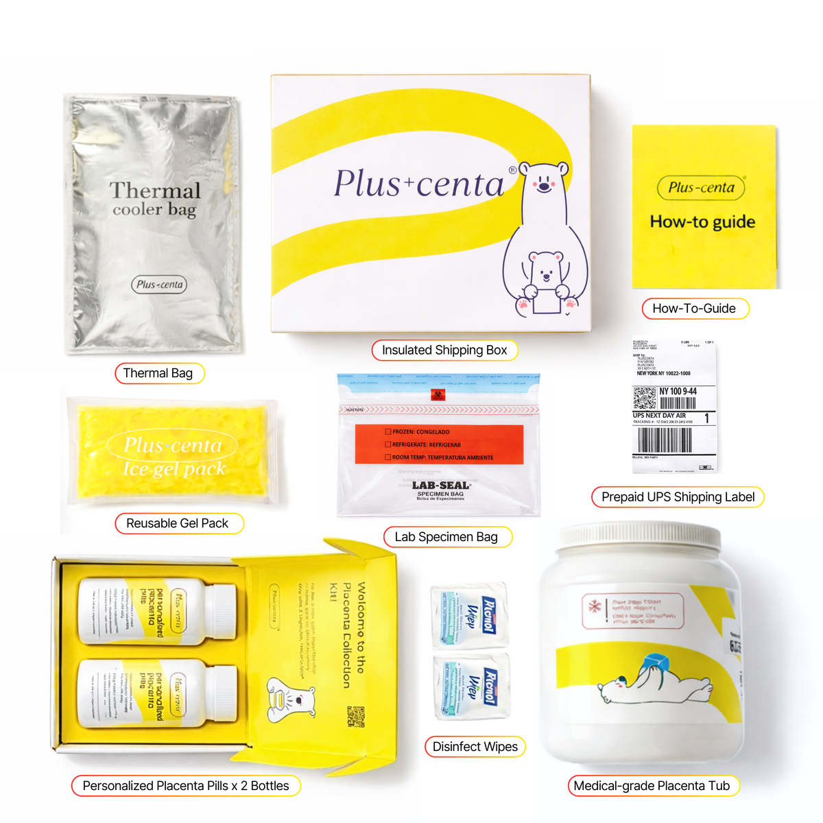 Placenta Encapsulation Kit with Lab-Based Processing