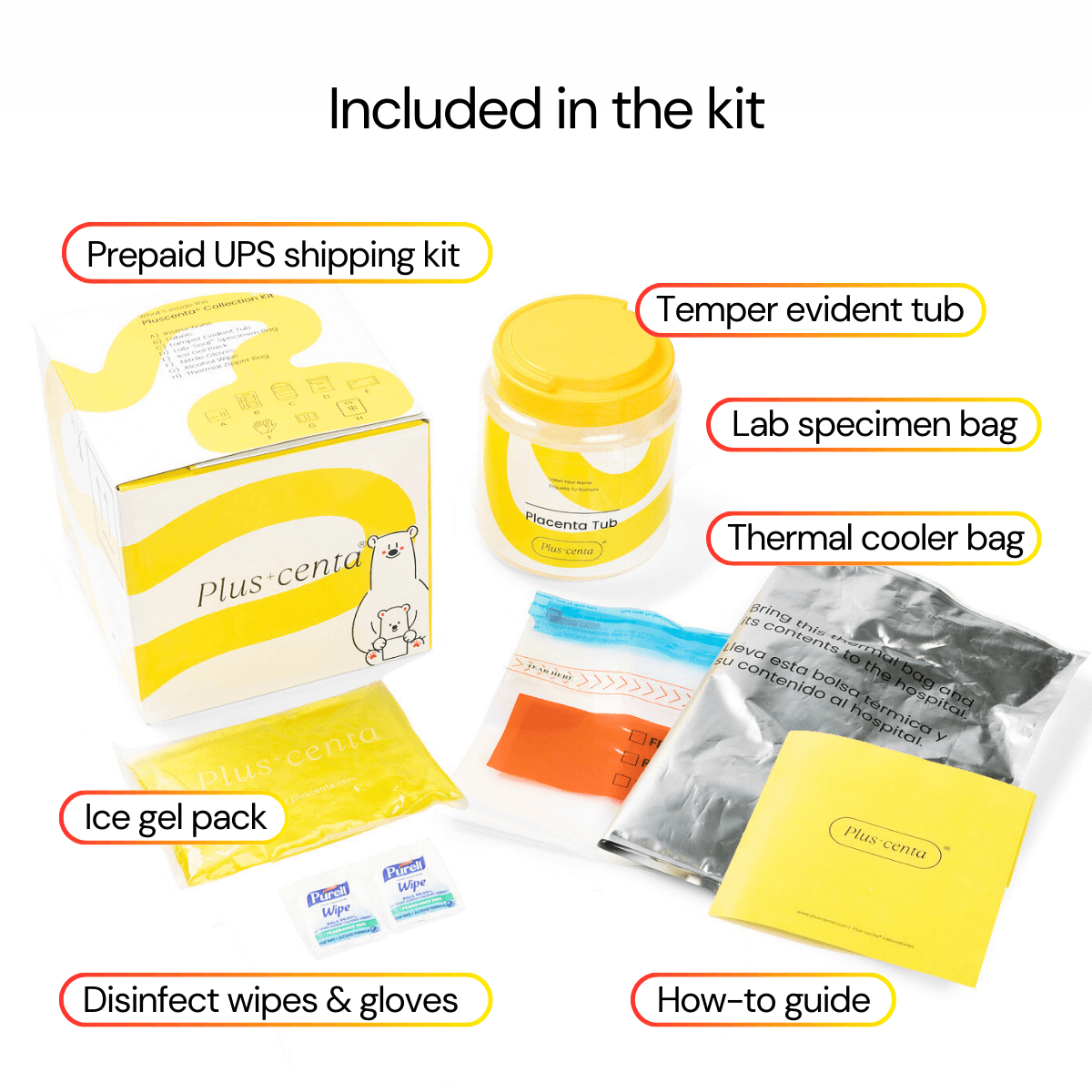 Premium placenta encapsulation kit includes shipping kit, tub, specimen bag, ice pack, disinfectant wipes, and guide.