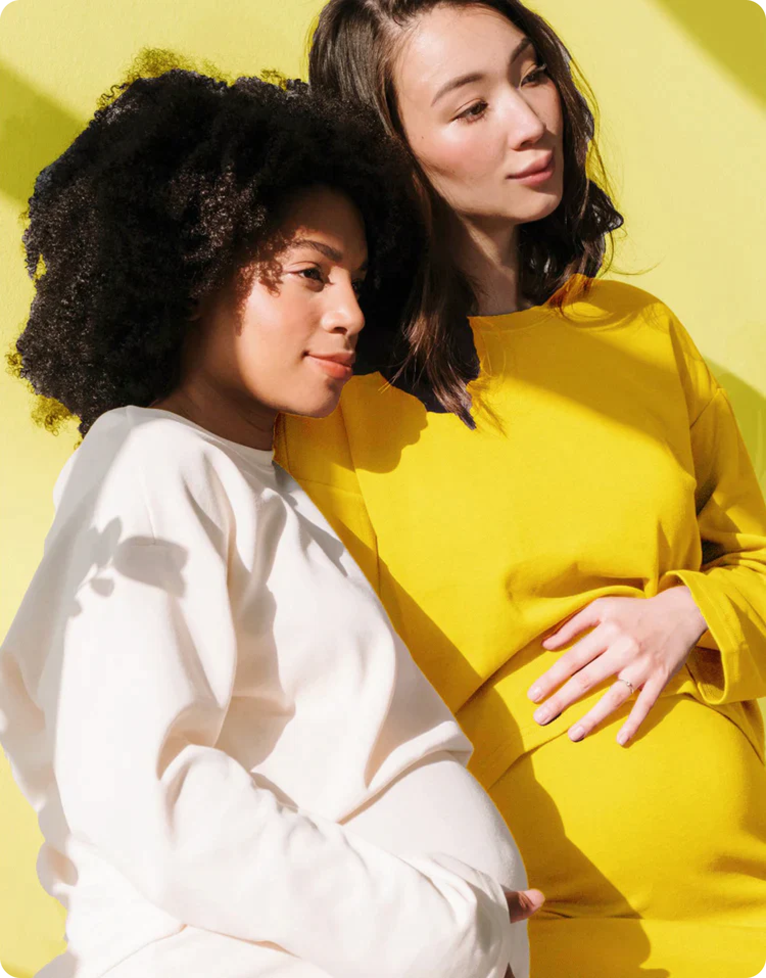 how to get my placenta encapsulated